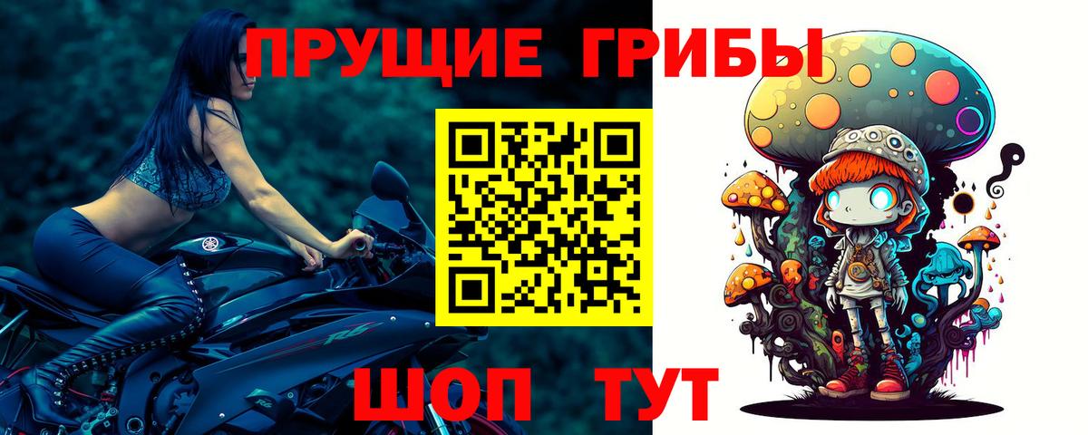 Галлюциногенные грибы Magic Shrooms Печора